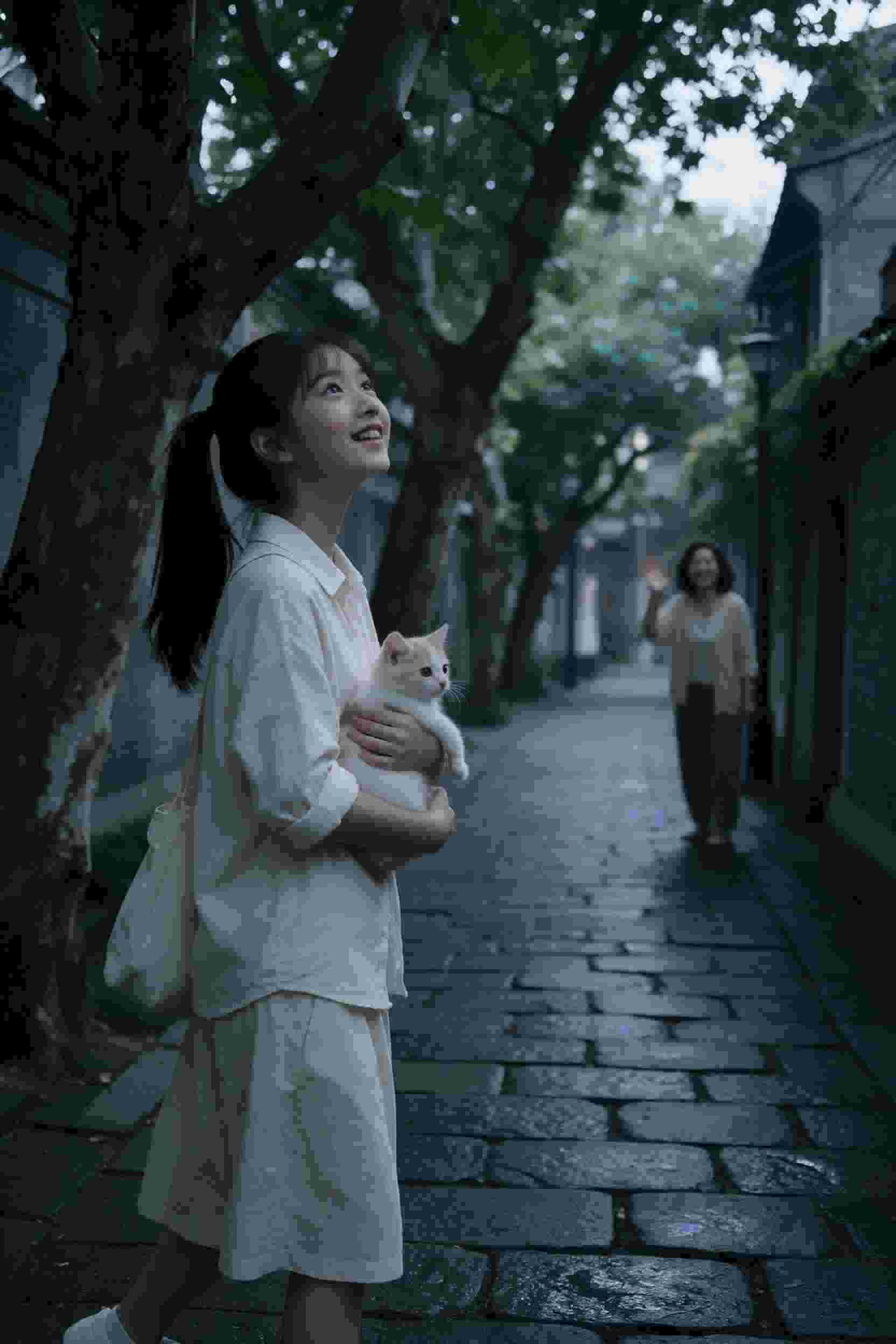 爱的迫降