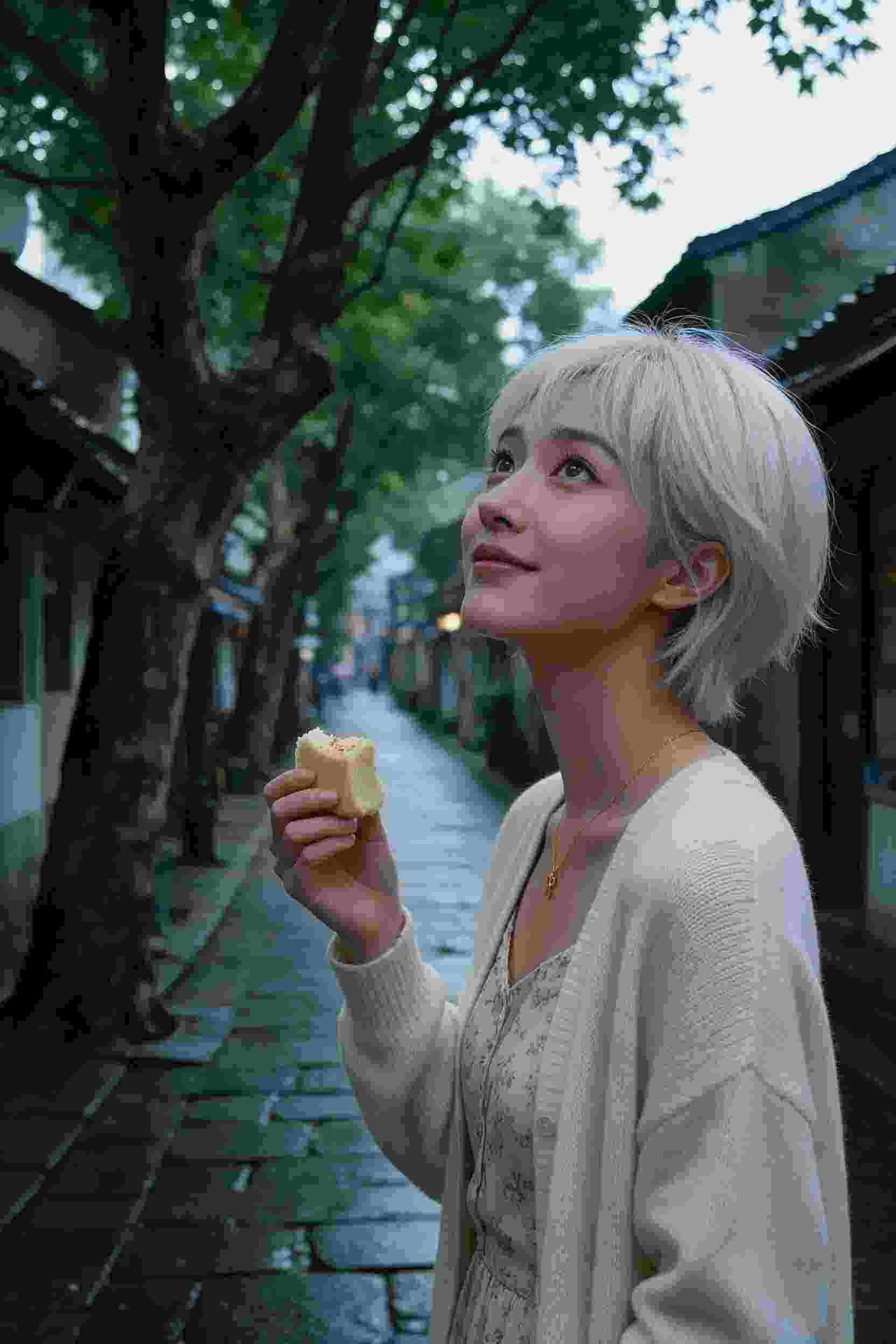 青春校园记